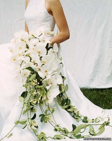 Cascade bridal bouquet via Martha S