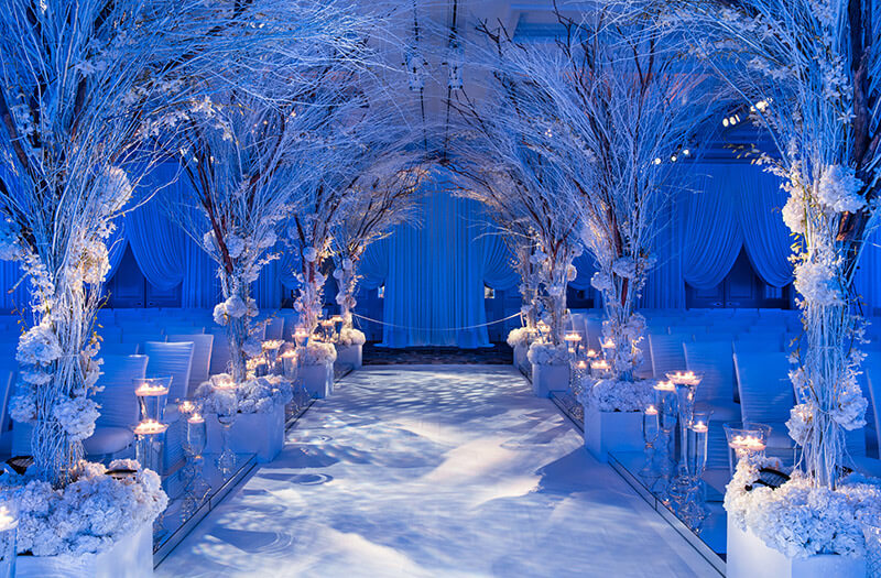 Festive winter wonderland wedding aisle with tree arches